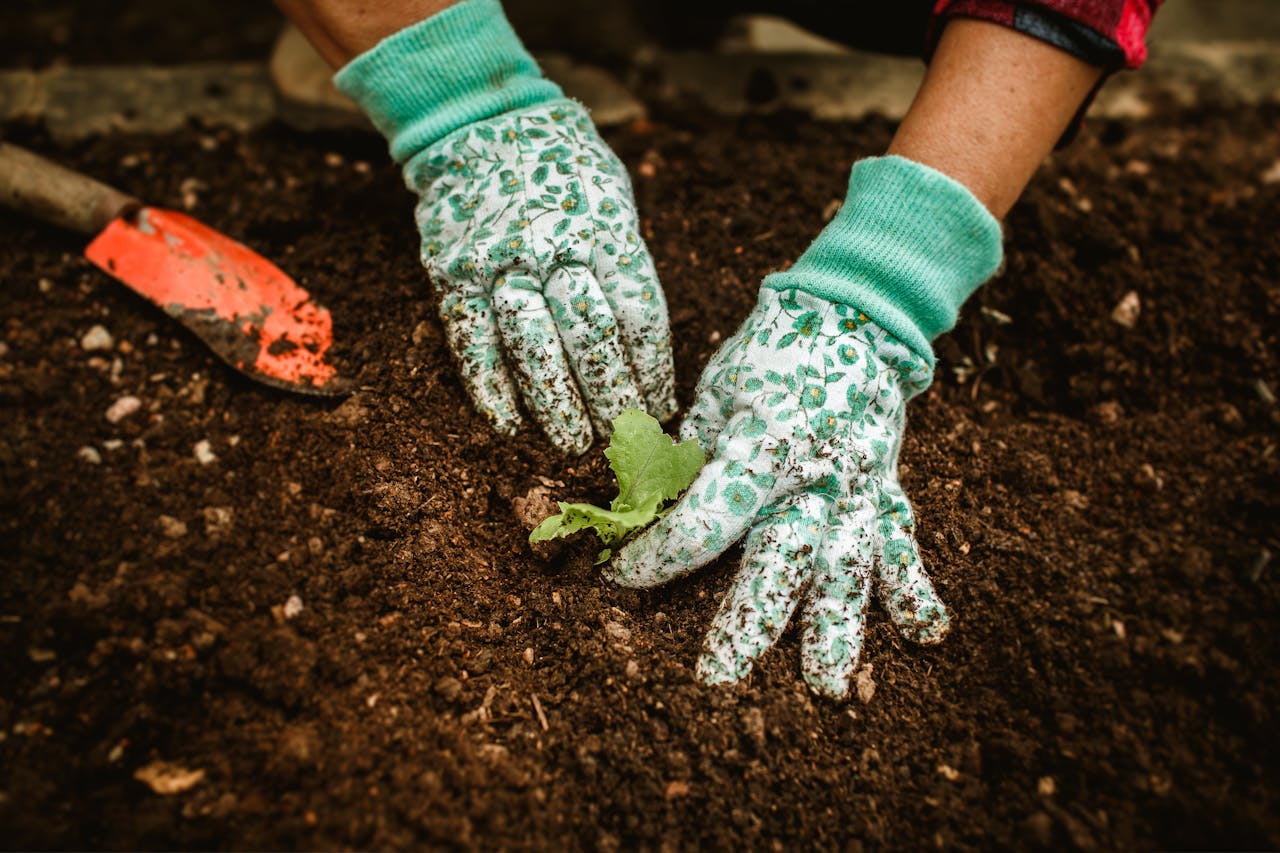 our-story Close-up of hands in gloves planting a seedling in garden soil with a trowel nearby.