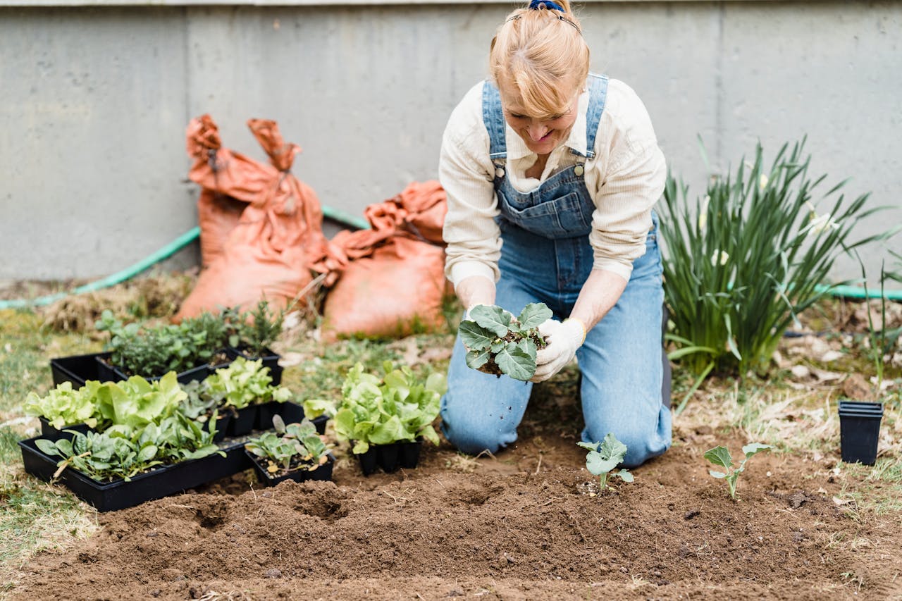 Happy female gardener in gloves planting green seedlings while sitting on ground near wall in garden
